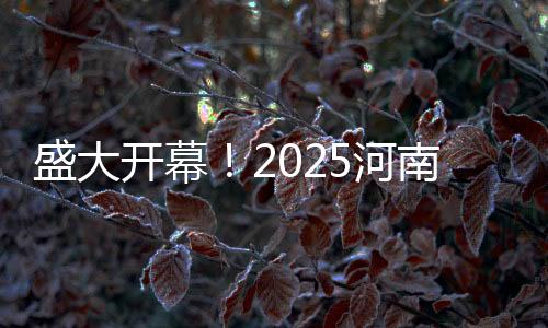 盛大開幕！2025河南春晚展現(xiàn)中原文化魅力