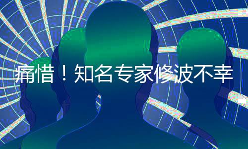 痛惜！知名專家修波不幸離世，享年XX歲，回憶其一生貢獻(xiàn)