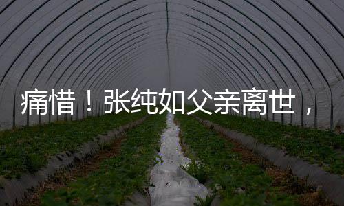 痛惜！張純?nèi)绺赣H離世，一生貢獻(xiàn)將永載史冊