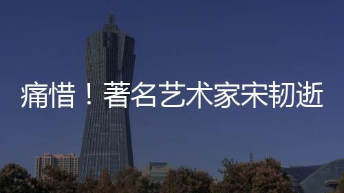 痛惜！著名藝術(shù)家宋韌逝世