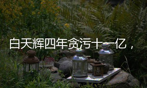 白天輝四年貪污十一億，二審維持死刑判決