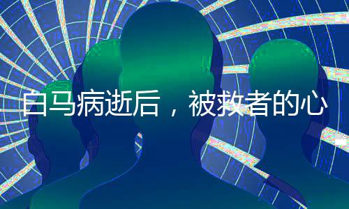 白馬病逝后，被救者的心靈獨白，一夜無眠的自責(zé)與反思