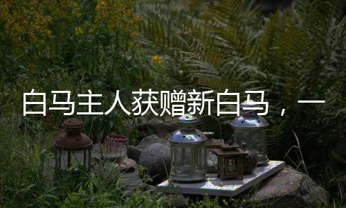 白馬主人獲贈(zèng)新白馬，一段佳話的傳承與續(xù)寫