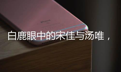 白鹿眼中的宋佳與湯唯，媽媽般的降臨與無盡魅力