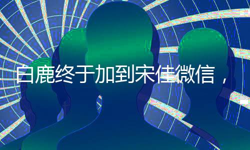 白鹿終于加到宋佳微信，一段跨越時(shí)空的友誼佳話