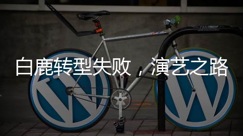 白鹿轉(zhuǎn)型失敗，演藝之路的新挑戰(zhàn)與反思