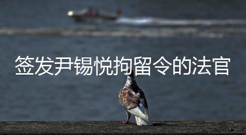 簽發(fā)尹錫悅拘留令的法官請(qǐng)求被保護(hù)的相關(guān)事件深度分析