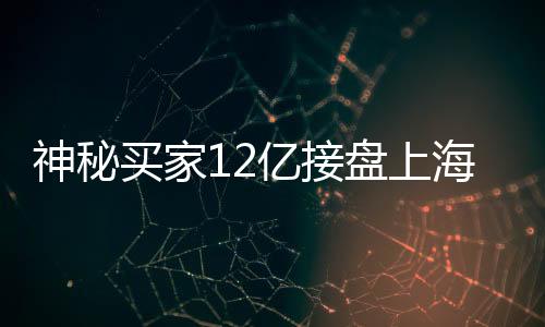 神秘買家12億接盤上海城隍廟廣場(chǎng)，交易背后的故事與未來展望