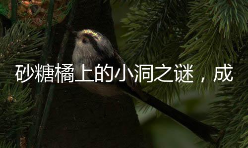 砂糖橘上的小洞之謎，成因、影響與解決方案