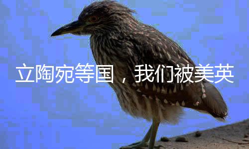 立陶宛等國(guó)，我們被美英法出賣——關(guān)于國(guó)際關(guān)系的新觀察