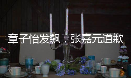 章子怡發(fā)飆，張嘉元道歉——一次公眾事件的深度解讀