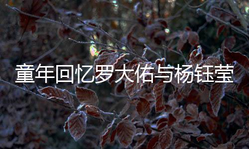 童年回憶羅大佑與楊鈺瑩小時(shí)候的除夕歌會(huì)