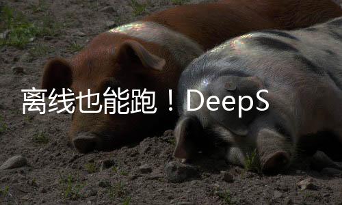 離線也能跑！DeepSeek大模型Flowy AI PC助手安裝指導(dǎo)