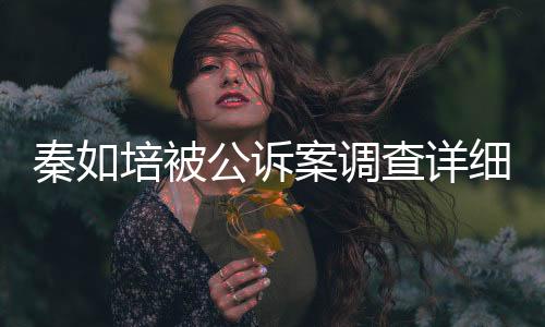 秦如培被公訴案調(diào)查詳細進展