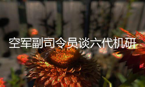 空軍副司令員談六代機研發(fā)，喜悅之情溢于言表