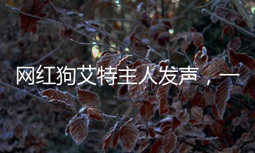 網(wǎng)紅狗艾特主人發(fā)聲，一則感人的故事，探索人與寵物的深厚情感