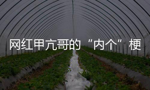 網(wǎng)紅甲亢哥的“內個”梗新應用 網(wǎng)友嘗試對DeepSeek說被噴回
