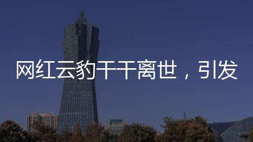 網(wǎng)紅云豹干干離世，引發(fā)網(wǎng)友無盡哀思