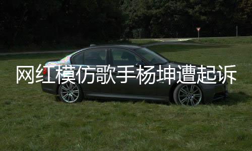 網(wǎng)紅模仿歌手楊坤遭起訴，震驚娛樂(lè)界