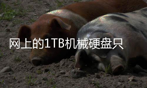 網(wǎng)上的1TB機(jī)械硬盤只要50元：當(dāng)心??！背后有貓膩
