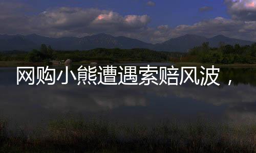 網(wǎng)購(gòu)小熊遭遇索賠風(fēng)波，事件背后的真相與啟示