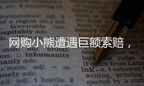網(wǎng)購(gòu)小熊遭遇巨額索賠，揭開事件背后的真相