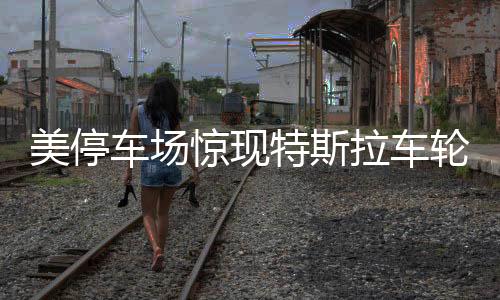 美停車場驚現(xiàn)特斯拉車輪大盜案，44個(gè)輪子被盜一空