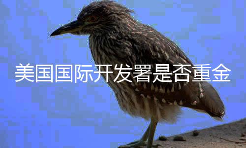 美國(guó)國(guó)際開(kāi)發(fā)署是否重金收買了左媒？深度解析與探討