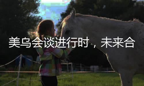 美烏會談進行時，未來合作的走向與談判的變數(shù)