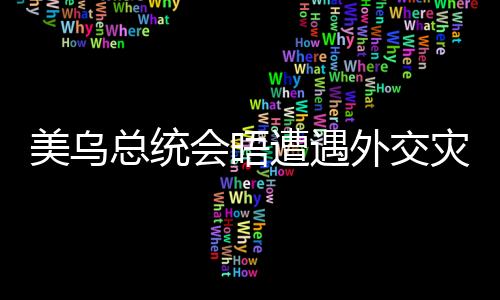 美烏總統(tǒng)會晤遭遇外交災(zāi)難，深層原因與影響分析