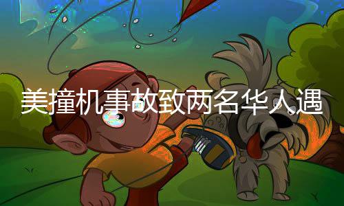 美撞機事故致兩名華人遇難，事故細(xì)節(jié)及后續(xù)關(guān)注一覽