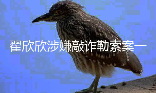 翟欣欣涉嫌敲詐勒索案一審，案情梳理與各方反應(yīng)