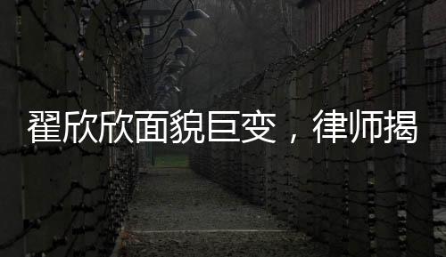 翟欣欣面貌巨變，律師揭示背后故事
