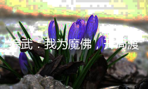 綜武：我為魔佛，開局渡趙敏！
