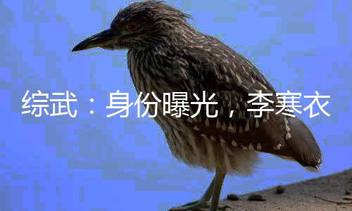 綜武：身份曝光，李寒衣再披紅衣