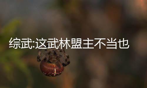 綜武:這武林盟主不當(dāng)也罷！