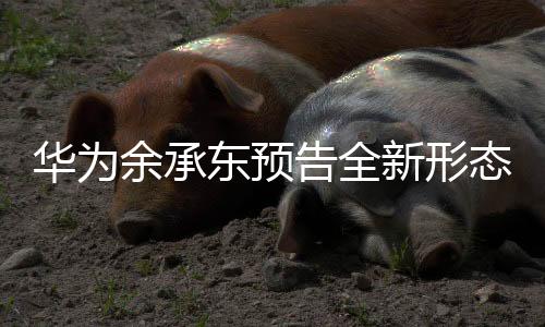 華為余承東預(yù)告全新形態(tài)手機，引領(lǐng)行業(yè)創(chuàng)新，展現(xiàn)未來科技魅力