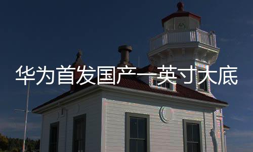 華為首發(fā)國(guó)產(chǎn)一英寸大底，引領(lǐng)手機(jī)攝影新紀(jì)元
