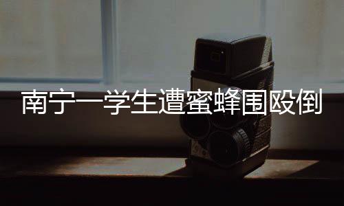 南寧一學(xué)生遭蜜蜂圍毆倒地事件引發(fā)關(guān)注