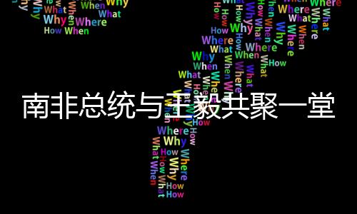 南非總統(tǒng)與王毅共聚一堂，國花照片下的友好見證