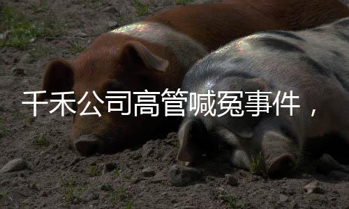 千禾公司高管喊冤事件，一場錯綜復(fù)雜的企業(yè)內(nèi)部爭議揭秘