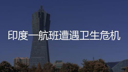 印度一航班遭遇衛(wèi)生危機(jī)，12個(gè)廁所堵塞11個(gè)被迫返航