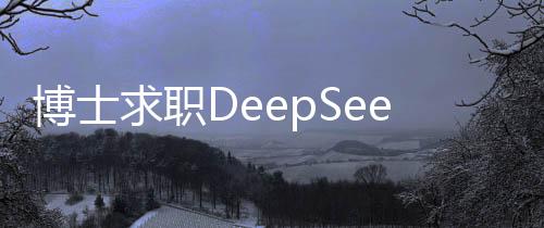 博士求職DeepSeek面試經(jīng)歷，面試官連問3小時的專業(yè)考驗與挑戰(zhàn)