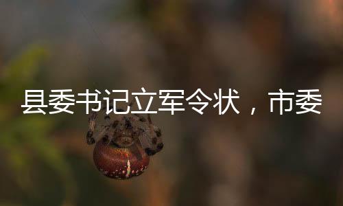 縣委書記立軍令狀，市委書記推動(dòng)全市播放，一項(xiàng)強(qiáng)勢(shì)推動(dòng)縣域發(fā)展的重大舉措