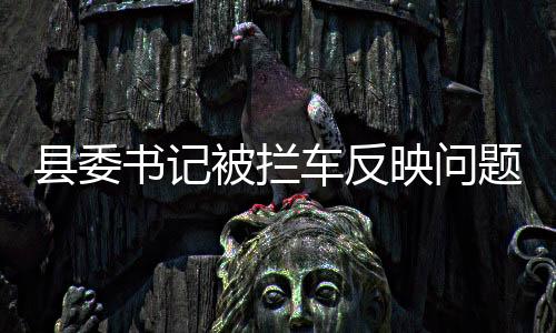 縣委書記被攔車反映問題？當?shù)鼗貞?yīng)