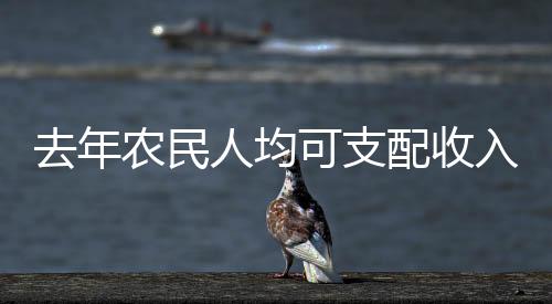去年農(nóng)民人均可支配收入達(dá)23119元，農(nóng)村經(jīng)濟(jì)的蓬勃發(fā)展
