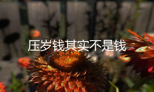 壓歲錢其實(shí)不是錢