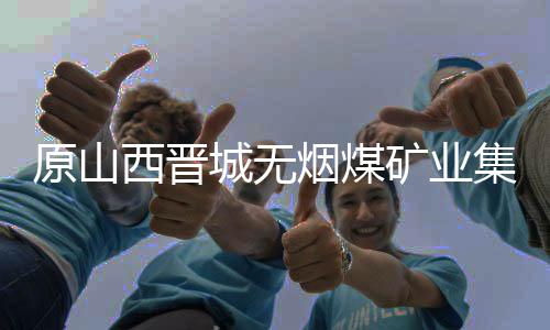 原山西晉城無煙煤礦業(yè)集團有限責任公司黨委常委、副總經(jīng)理王保玉被查