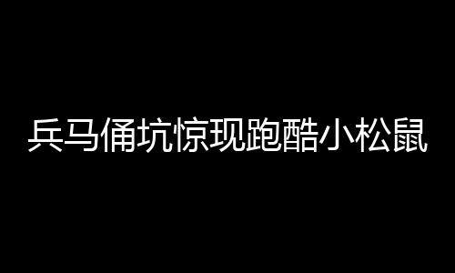 兵馬俑坑驚現(xiàn)跑酷小松鼠，神秘事件揭秘