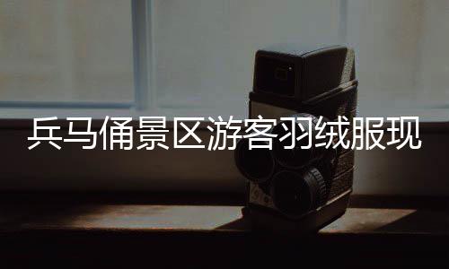 兵馬俑景區(qū)游客羽絨服現(xiàn)象，冬日寒風(fēng)中的暖心細(xì)節(jié)觀察
